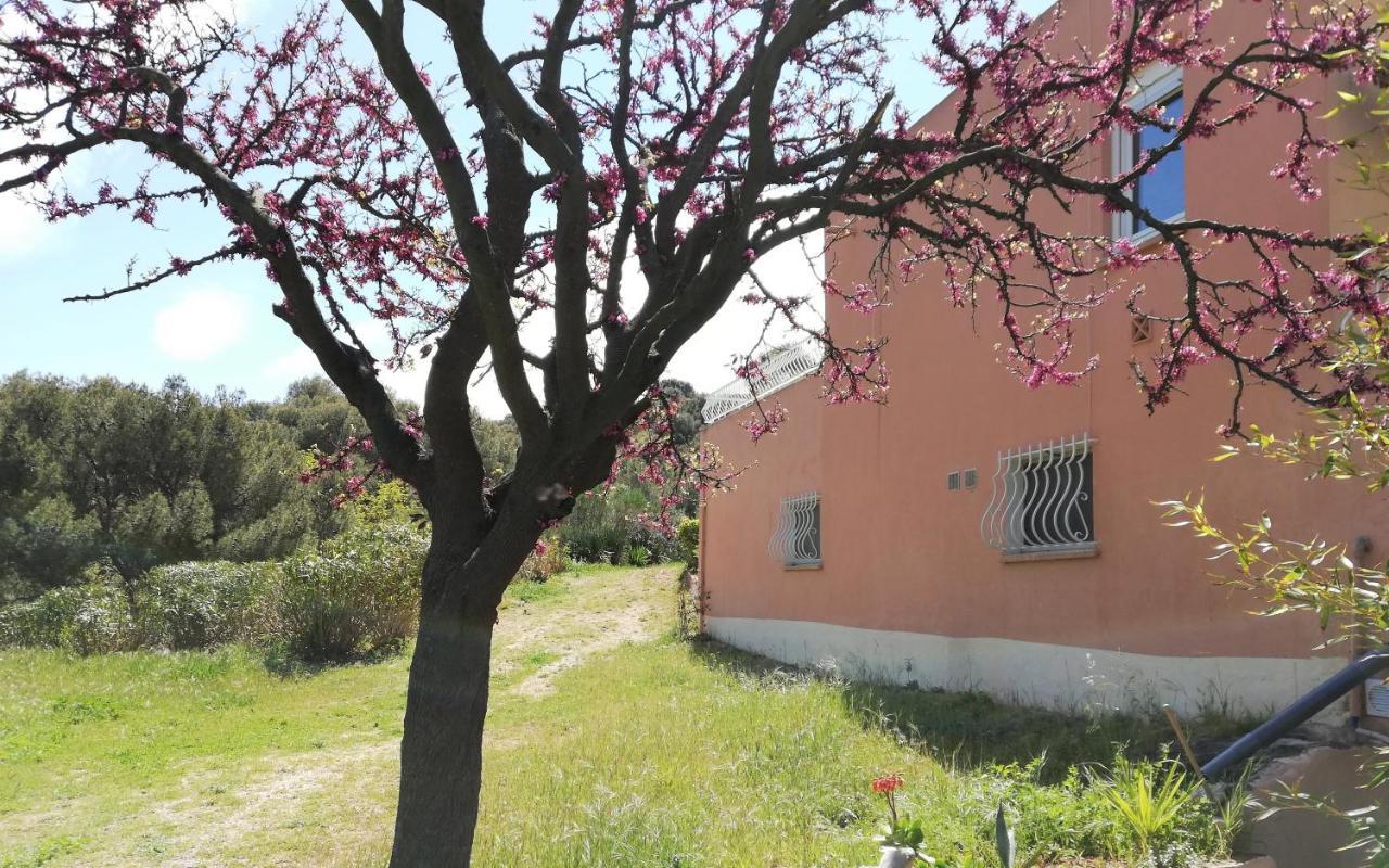 Studio 28M2 Climatise,Wifi, Proche Des Calanques,Plages La Ciotat Eksteriør bilde