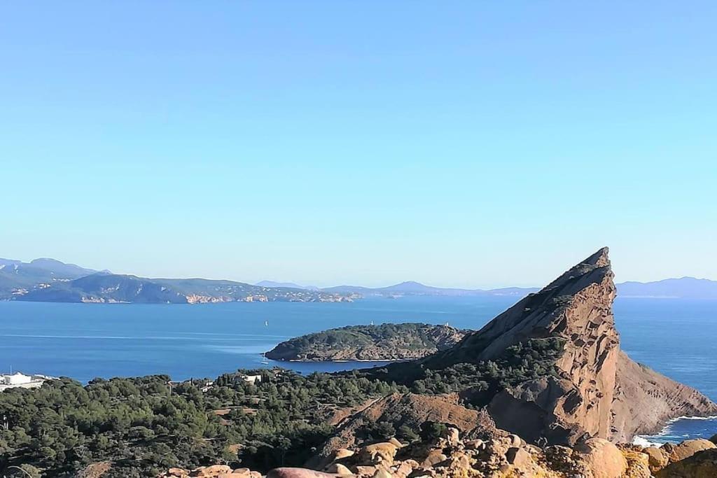 Studio 28M2 Climatise,Wifi, Proche Des Calanques,Plages La Ciotat Eksteriør bilde